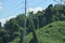 kudzu covering hillside, trees, and wires