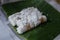 Kue putu, traditional cake