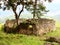 Kuelap ruins in northern Peru, Andes