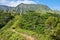 Kuilau Ridge Trail