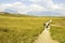 Kukenan Mount left and Roraima Mount right Called in Pemon Indians Language Kukenan Tepui and Roraima Tepui, with the Trekking