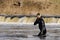 Kuldiga, Latvia - April 1, 2017: The diver is looking for hidden illegal fishing nets in the Venta River and under the waterfall.