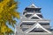 Kumamoto castle in autumn with beautiful ginkgo yellow leaves and b