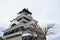 Kumamoto castle destroyed by fire but governor rebuild and conserve in Japan