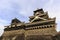 Kumamoto Castle night view