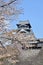 Kumamoto castle with sakura