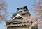 Kumamoto castle with sakura