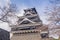 Kumamoto Castle with sakura or Cherry Blossoms