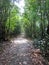 Kumarakom Bird Sanctuary in Kerala, India tourism