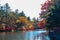 Kumobaike Pond autumn foliage scenery view, multicolor reflecting on surface in sunny day