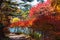 Kumobaike Pond autumn foliage scenery view, multicolor reflecting on surface in sunny day