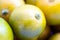 Kumquat Calamondin Fruit Macro