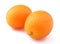 Kumquat citrus
