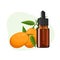 Kumquat essential oil in brown glass bottle, herbal alternative medicine treatment product, vector Illustration on white