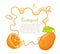 Kumquat Exotic Juicy Fruit Vector Citrus Poster