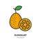 Kumquat fruit icon, filled outline style vector