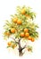 Kumquat Tree Chinese new year pattern