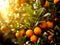 Kumquat Trees, For good luck and wealth. Chinese new year, Generative AI