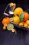Kumquats, mandarins, lemons and limes against dark background.