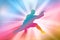 Kung Fu Master Silhouettes, Chinese Boxing, Colorful, Rainbow