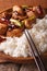 Kung pao chicken and rice on a plate macro. Vertical