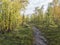 Kungsleden hiking trail path in Sweden Lapland landscape with autumn colored birch trees and bushes, Sunlight and clouds