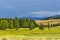 Kurai steppe and larch. mountain Altai