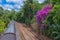 The Kuranda Railway is a very popular tourist attraction in the tropical north of Queensland Australia