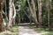 Kuranda Village Tree lined trails