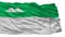 Kurgan City Flag, Russia, Isolated On White Background