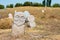 Kurgan stelae at Ruins of Balasagun in Tokmok, Kyrgyzstan. Balasagun is part of the World Heritage