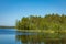 Kurjenrahka National Park. Nature trail. Green forest at summer time. Turku, Finland. Nordic natural landscape. Scandinavian