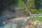 Kurobe Dam with Rainbow