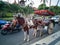 Kuta, Bali in Indonesia - December 2018: Horse and carriage waiting for customers in the city street. Traffic in the
