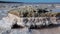 Kuyalnik estuary, Black Sea. Salt crystals cover stones on the shore of a salt lake