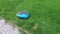 Kyiv, Ukraine - August 24, 2020: Robotic lawn mower on grass in side view