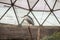 Kyiv, Ukraine - February 03, 2019: Kyiv zoo. The bird in the dome greenhouse