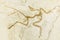 KYIV, UKRAINE - JUNE 16, 2018: National Museum of Natural Sciences of Ukraine. Archaeopteryx fossil jurassic bones, prehistoric