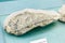 KYIV, UKRAINE - JUNE 16, 2018: National Museum of Natural Sciences of Ukraine. Fossil ancient sea animal. Fish in stone