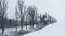 Kyiv, Ukraine. Side view of a snowy highway with tall leafless trees