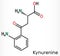 Kynurenine, l-Kynurenine, C10H12O3N2 molecule. It is a metabolite of the amino acid L-tryptophan used in the production of niacin