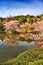 Kyoto cherry blossom