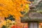 Kyoto garden autumn season with part of Toro or stone lantern