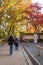 KYOTO,JAPA -NOV26:Tourist walking in beautiful nature maple tree