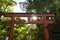 Kyoto, Japan - May 18, 2017: Torii gate of the Yasaka jinja shrine in Kyoto