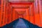 KYOTO,JAPAN-OCTOBER 20,2016:Red wooden Tori Gate at Fushimi Inari Shrine in Kyoto, Japan