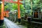 KYOTO, Japan. Path under the famous red wooden torii gates in Fushimi Inari-Taisha Shinto Shrine in Kyoto.