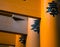 Kyoto, Japan â€“ Close up detail of Torii gates in Fushimi Inari