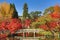 Kyoto at the pond and bridge of Eikando Temple in the Autumn