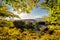 Kyoto temples in autumn with temples an japanese garden visible